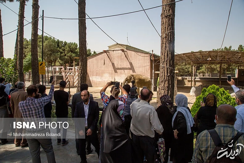 (تصاویر) رونمایی از «مایسا» در باغ وحش ارم